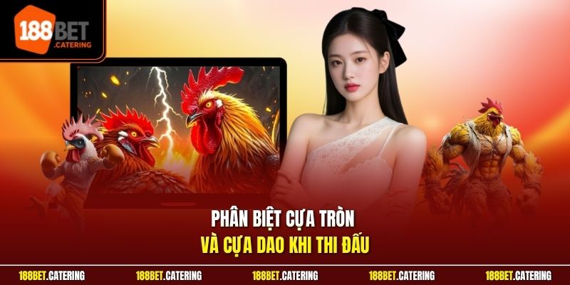 Phân biệt cựa tròn và cựa dao khi thi đấu